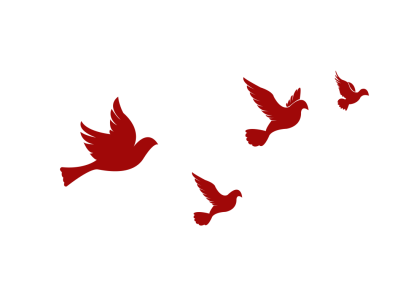 9f7030b905254211b16f7c3108adba67.Png