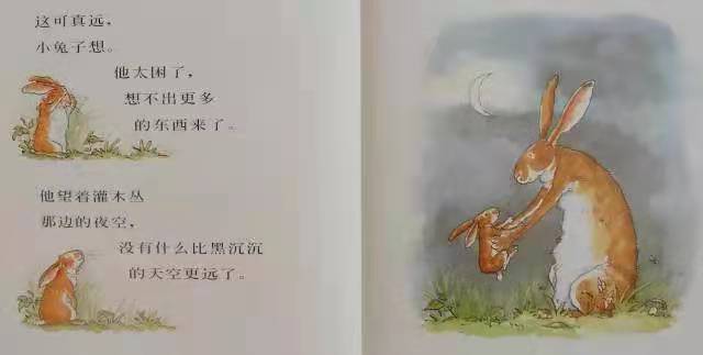 7742f41f4f0e4596a22221e2d4b8cfb3.jpg