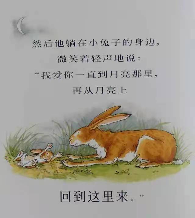 8ccb370915574b3ca7ac2184d2621445.jpg