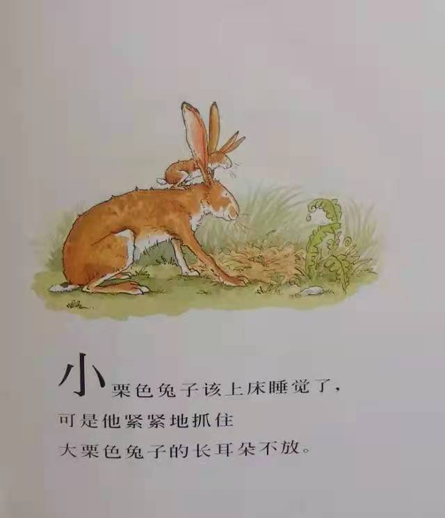 ef4fb8e5a5e24aea9094d817f90998d4.jpg