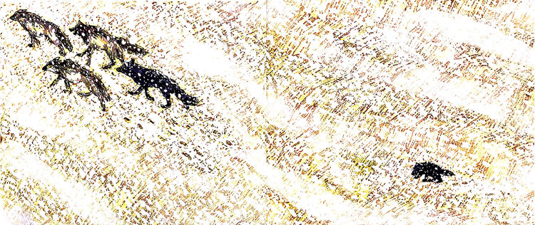 8b08800df30142e5a9007205578e274f.jpg