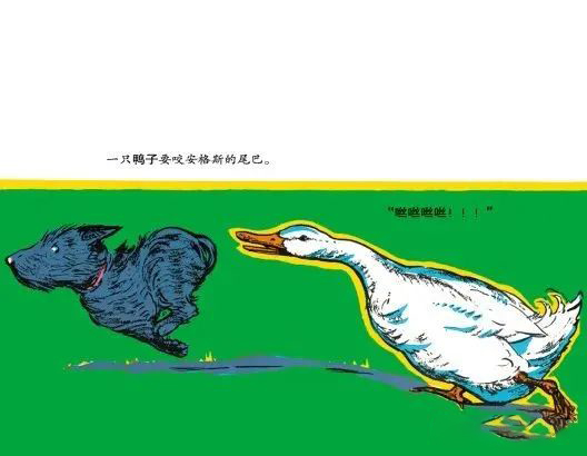 49f5e061979d4784a7ae643d87c88f34.Jpeg