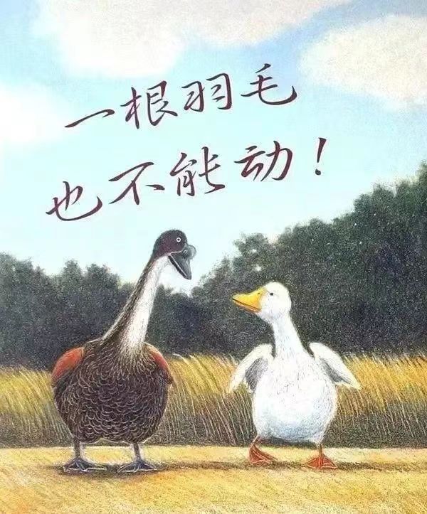 dd73a9aa535547898634da5cddd8ff58.jpg