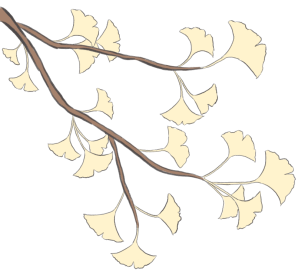c0ece3e195ce483cacc8d2e82c7b36cd.Png