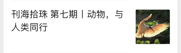 d14aeec102aa429a92e83c99466cd7ed.Png