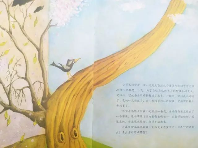 22fa613f64184ab989b4ef99fe140a31.jpeg