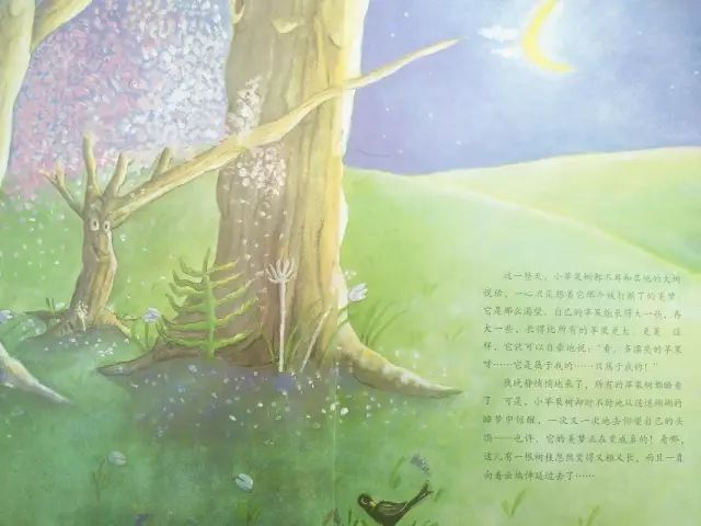 ca5a2667c2514c56beae1e201680915f.jpeg