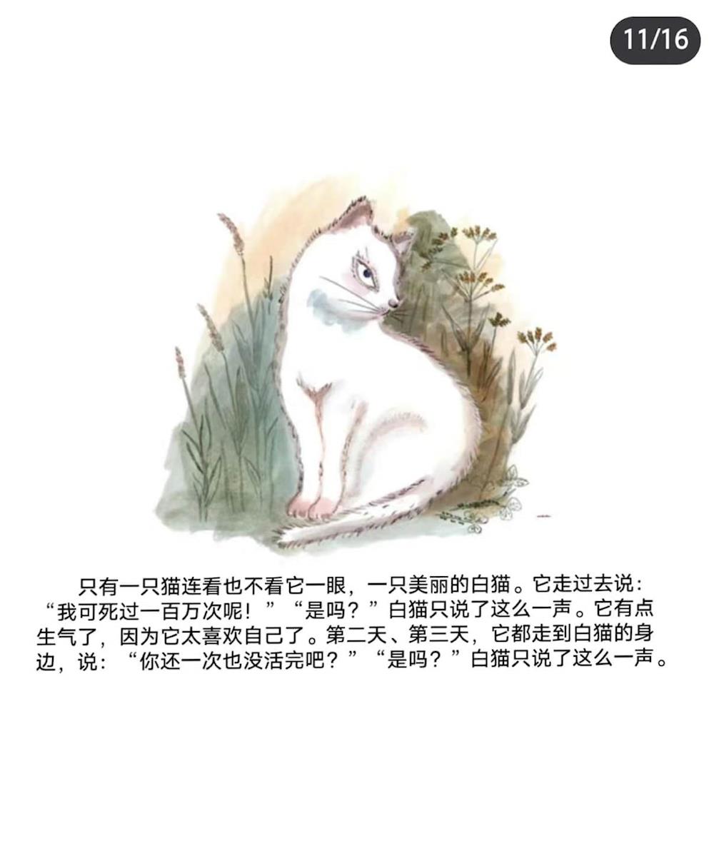 c8dea8ac442841e081394a2fa4132162.jpg