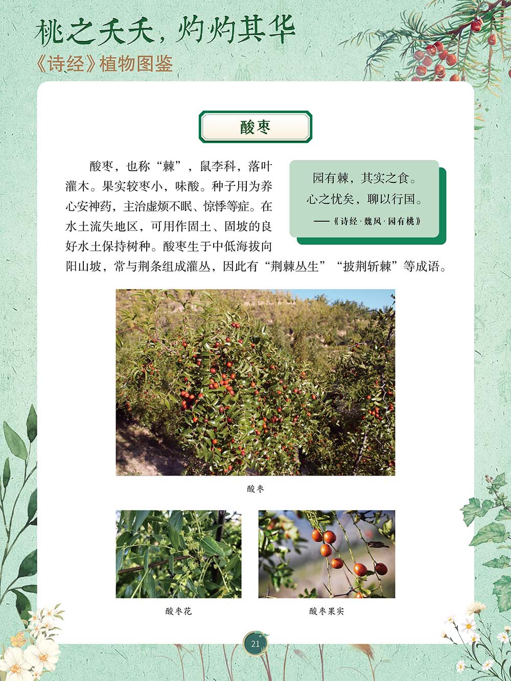 292586c9511147cabc82266a821ec977.Jpeg