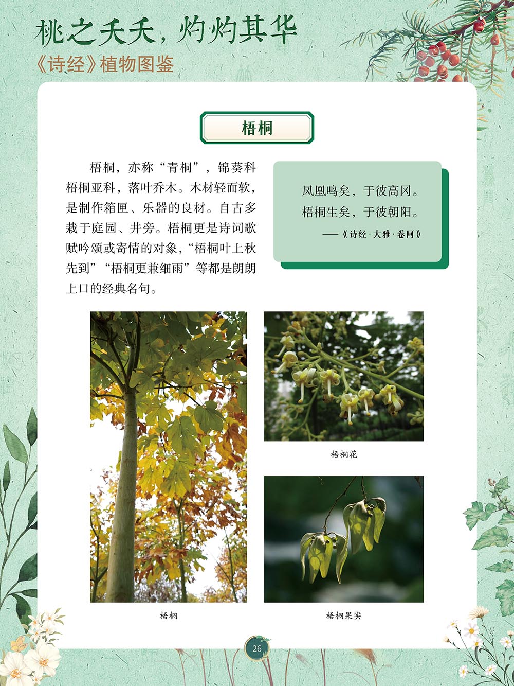 4ac55a9041c441699da858cd7b3559de.Jpeg