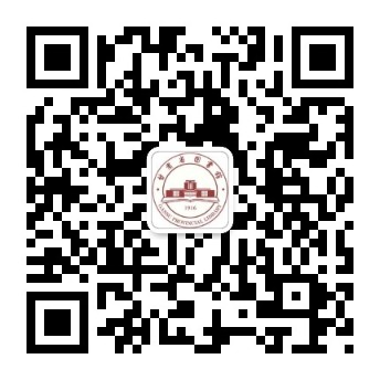 cd398a3511de4dfaaba222ed4147e4e8.Jpeg