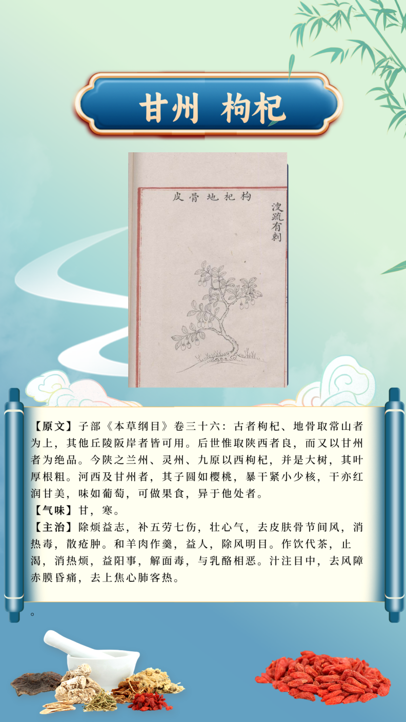 1048a05981fa45a2806d406e74a630db.Png
