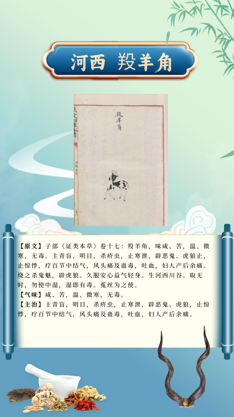 2f339455fcb0466986be4bca919f4689.Png