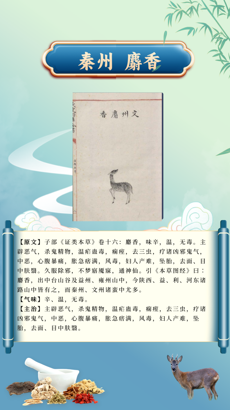 3069748bef744f17ae64aeb5d6c54ab7.Png