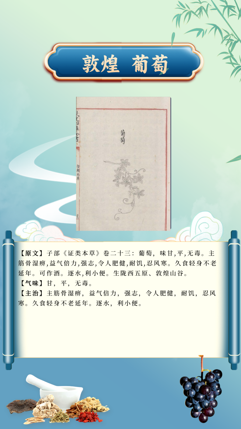 33c0cd567c2d478eb2771a6e42c48ce5.Png