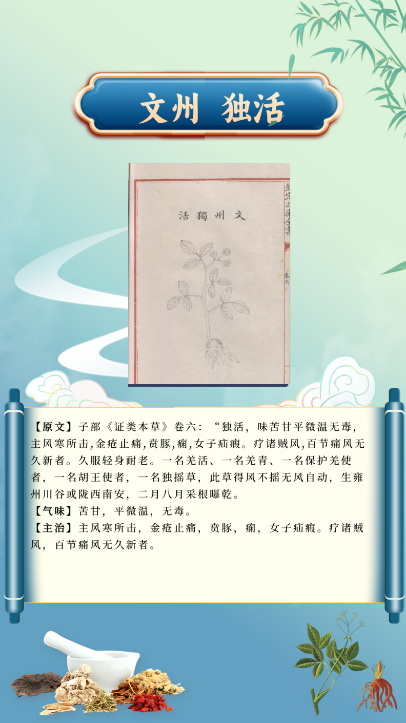 581e9a2133444f028b7d10e99c051d12.Png