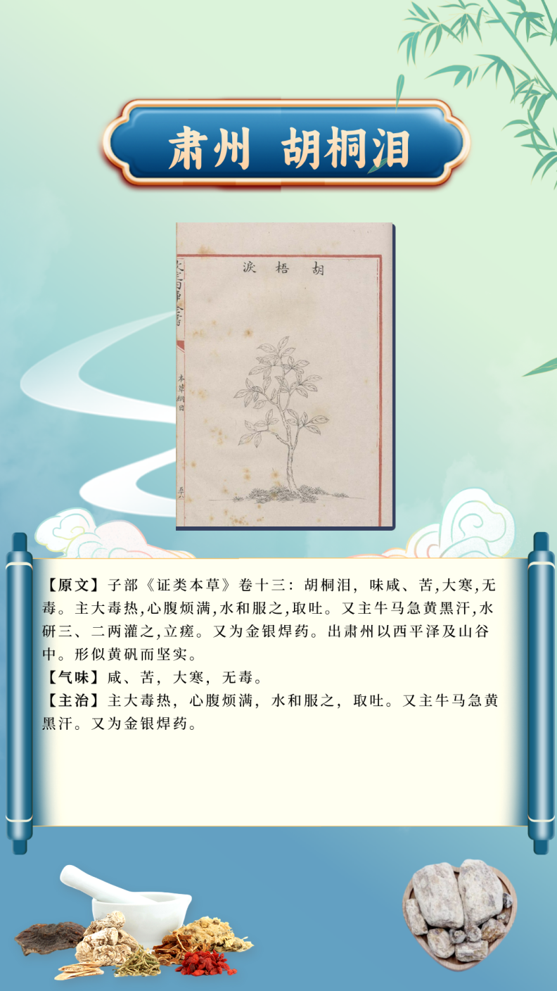 9f60f620ee084379b9d640ced4b5a91d.Png