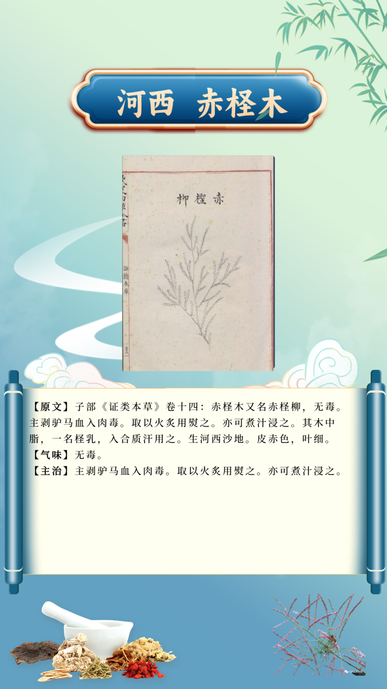 bdf9d299438a4d679fc1d17ffdeeefed.Png
