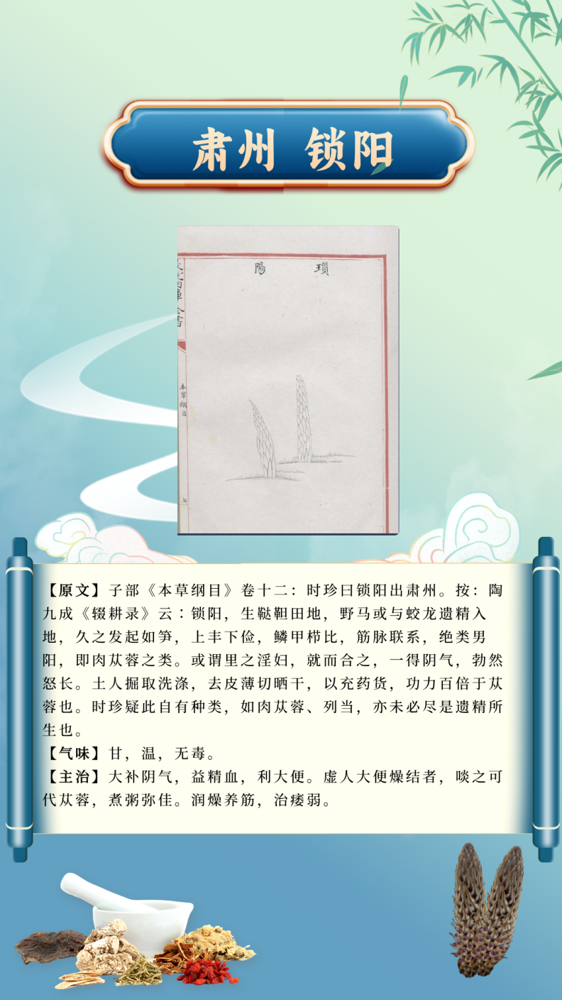 df7f30a7cef444c2bcf7cfc3360a3cc0.Png