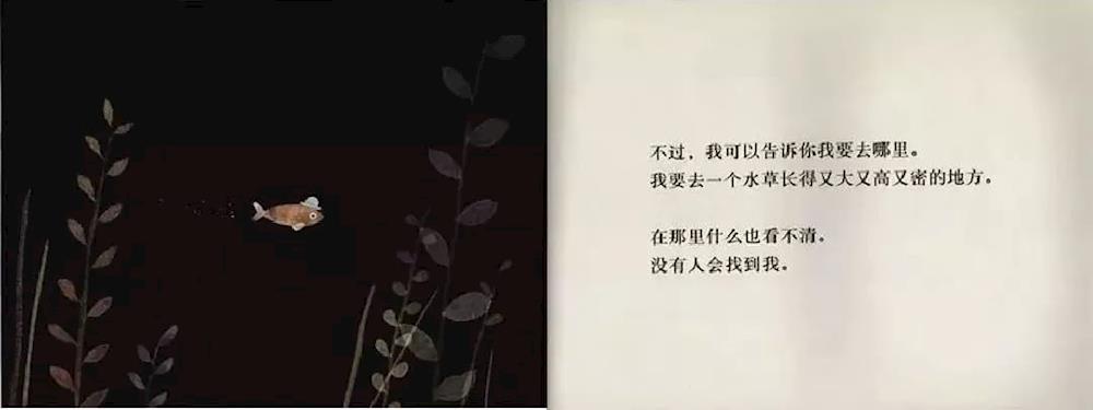 80ce562b1b144ee8a54f2f27cee97d44.jpg