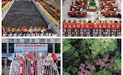 张家川县图书馆举办 “百名摄影师聚焦新时代”图片展