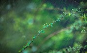 甘图微展| 春夏秋冬——诗意醇厚的唐宋四季