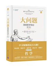 《大问题》
