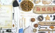 海底的秘密