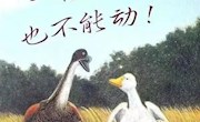 一根羽毛也不能动