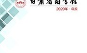 2020年年报