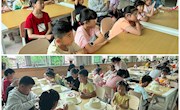 树叶的秘密