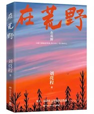 《在荒野》