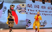 甘肃省图书馆举办“刊海拾珠” —第五期外文期刊小小体验官朗读活动